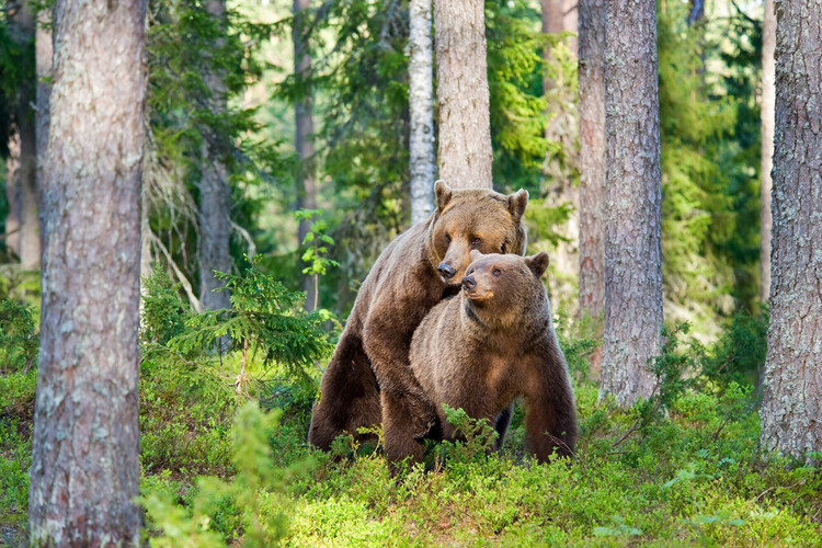 Seks: Op avontuur in de bosjes
