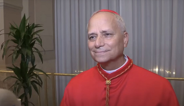 Paus Leo XIV noemt queer relaties ‘een keuze’ maar benadrukt dat lhbtiq+-personen ‘niet slecht zijn’