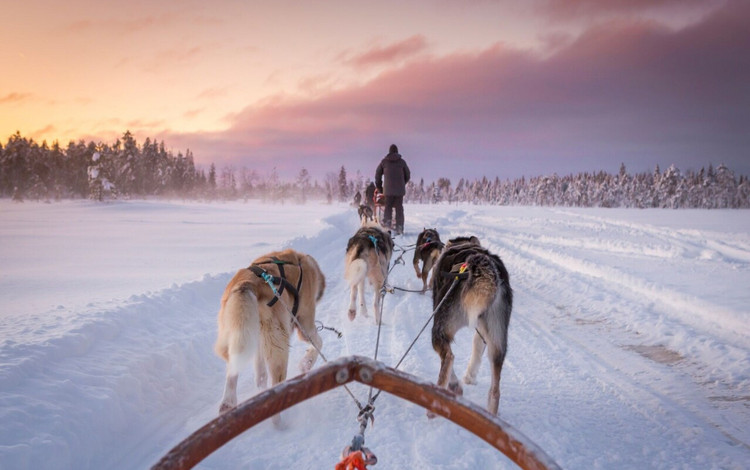 Knettergek op kou? Dan wil je naar deze winterse vakantiebestemming