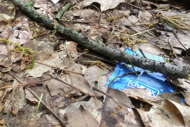 “Opvallend veel van deze plekken liggen op de Biblebelt”