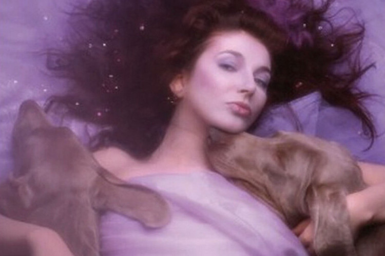 Van Dusty Springfield tot Placebo en Sinéad O’Connor: dit zijn de beste Kate Bush-covers